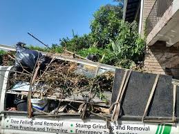 Best Yard Waste Removal  in Show Low, AZ