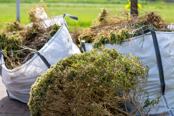 Best Scrap Metal Removal  in Show Low, AZ